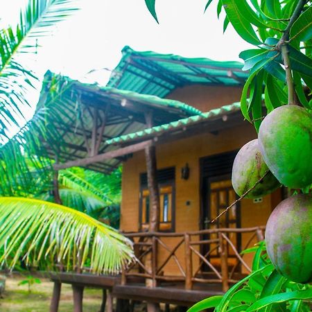 Yalaway Nature Villa Tissamaharama Exterior foto